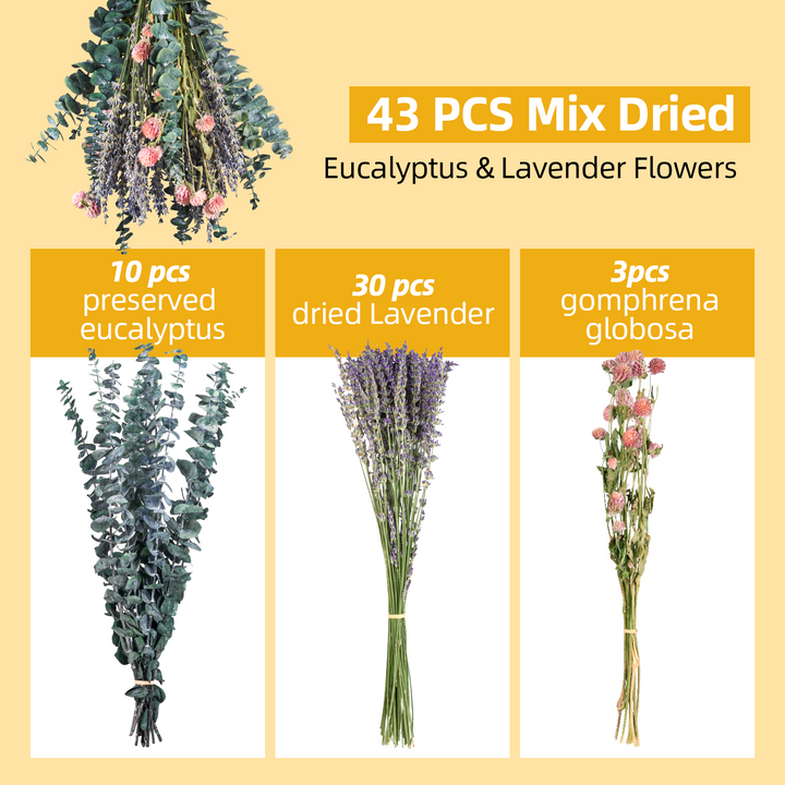 Dried Eucalyptus Stems & Lavender Flowers Bundle for Shower - Natural Fresh Eucalyptus Leaves Hanging Plants