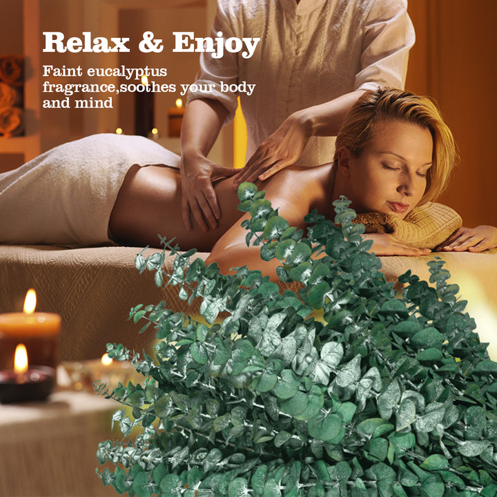 Dried Eucalyptus Stems & Lavender Flowers Bundle for Shower - Natural Fresh Eucalyptus Leaves Hanging Plants