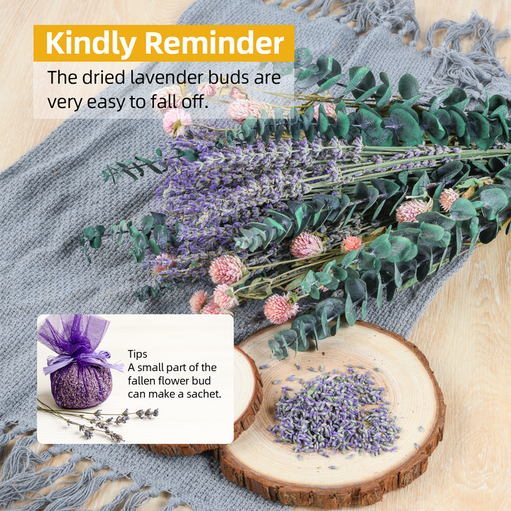 Dried Eucalyptus Stems & Lavender Flowers Bundle for Shower - Natural Fresh Eucalyptus Leaves Hanging Plants