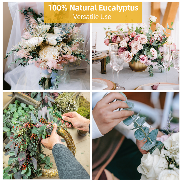 Dried Eucalyptus Stems & Lavender Flowers Bundle for Shower - Natural Fresh Eucalyptus Leaves Hanging Plants