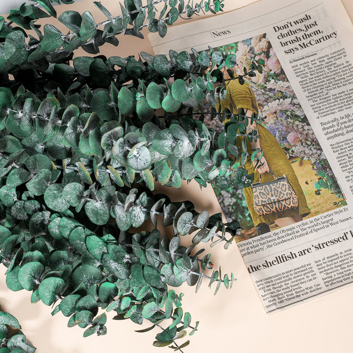 Dried Eucalyptus Stems & Lavender Flowers Bundle for Shower - Natural Fresh Eucalyptus Leaves Hanging Plants