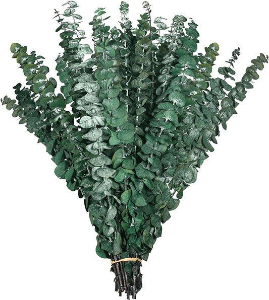 30 Pcs Dried Eucalyptus Stem Bundle 17'' Fresh Natural Preserved Eucalyptus Stems for Shower Flower Arrangements Wedding Home Decor