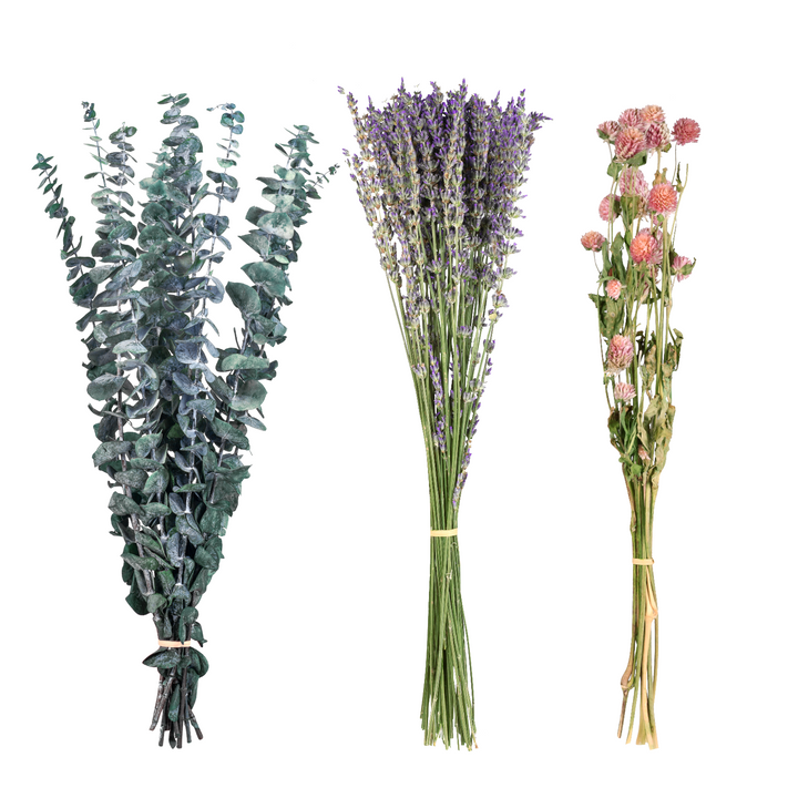 Dried Eucalyptus Stems & Lavender Flowers Bundle for Shower - Natural Fresh Eucalyptus Leaves Hanging Plants