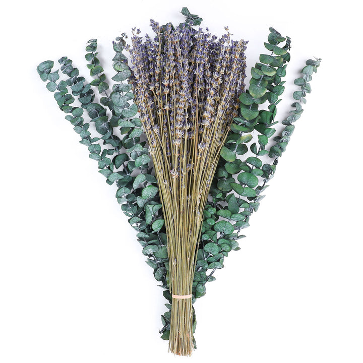 Dried Eucalyptus Stems & Lavender Flowers Bundle for Shower - Natural Fresh Eucalyptus Leaves Hanging Plants
