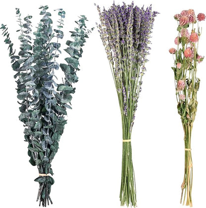 43 Pcs Dried Eucalyptus Stems & Lavender Flowers Bundle for Shower Natural Fresh Eucalyptus Leaves Hanging Eucalyptus Shower Plants for Home and Wedding Decorations