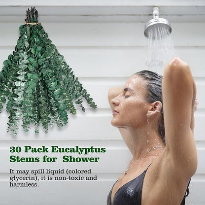 30 Pcs Dried Eucalyptus Stem Bundle 17'' Fresh Natural Preserved Eucalyptus Stems for Shower Flower Arrangements Wedding Home Decor