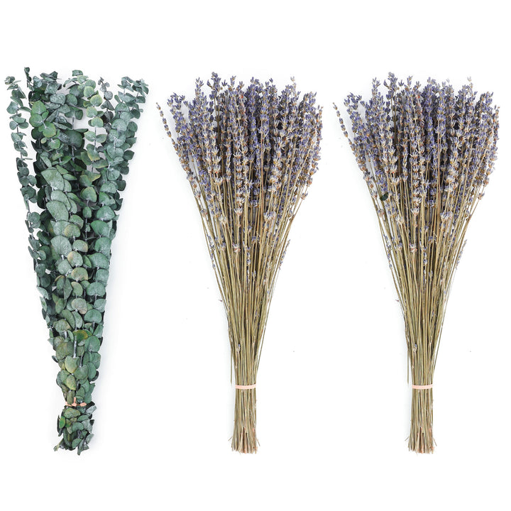 Dried Eucalyptus Stems & Lavender Flowers Bundle for Shower - Natural Fresh Eucalyptus Leaves Hanging Plants