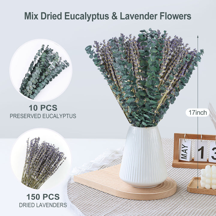 Dried Eucalyptus Stems & Lavender Flowers Bundle for Shower - Natural Fresh Eucalyptus Leaves Hanging Plants