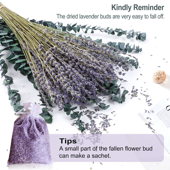 Dried Eucalyptus Stems & Lavender Flowers Bundle for Shower - Natural Fresh Eucalyptus Leaves Hanging Plants