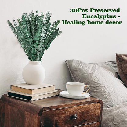 30 Pcs Dried Eucalyptus Stem Bundle 17'' Fresh Natural Preserved Eucalyptus Stems for Shower Flower Arrangements Wedding Home Decor
