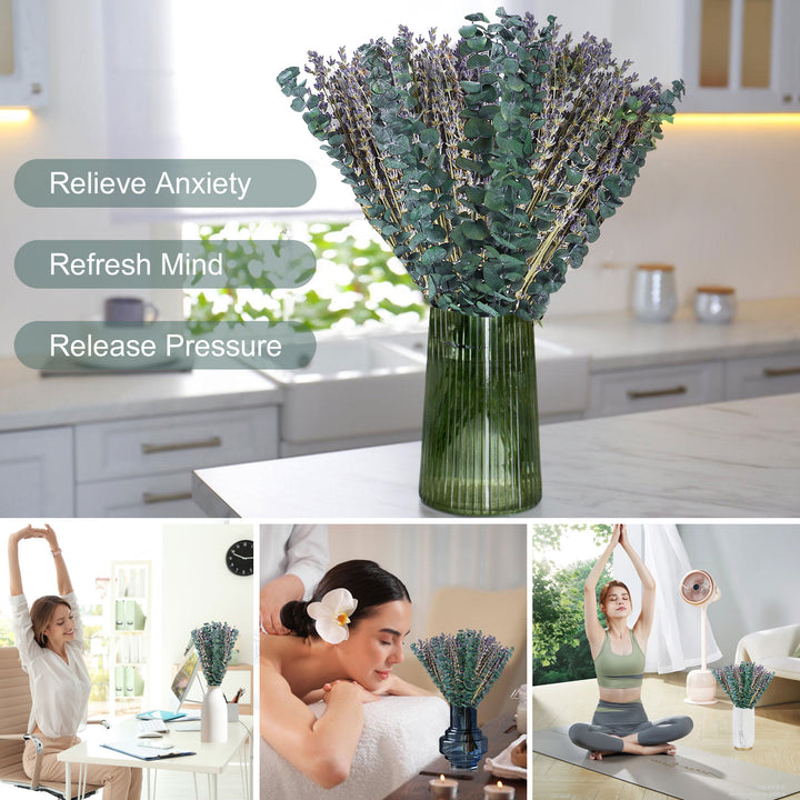 Dried Eucalyptus Stems & Lavender Flowers Bundle for Shower - Natural Fresh Eucalyptus Leaves Hanging Plants