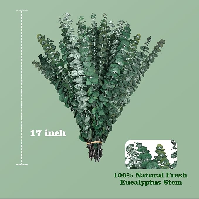 30 Pcs Dried Eucalyptus Stem Bundle 17'' Fresh Natural Preserved Eucalyptus Stems for Shower Flower Arrangements Wedding Home Decor
