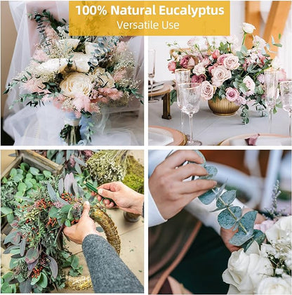 43 Pcs Dried Eucalyptus Stems & Lavender Flowers Bundle for Shower Natural Fresh Eucalyptus Leaves Hanging Eucalyptus Shower Plants for Home and Wedding Decorations