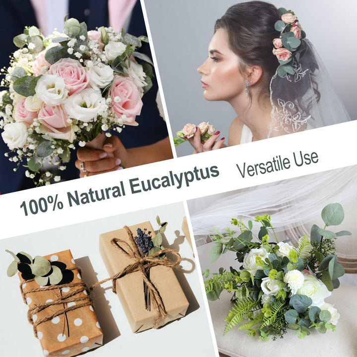 Dried Eucalyptus Stems & Lavender Flowers Bundle for Shower - Natural Fresh Eucalyptus Leaves Hanging Plants