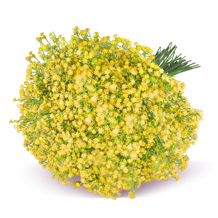 Babys Breath Artificial Flowers,Gypsophila Real Touch Flowers for Wedding Party Home Garden Decoration